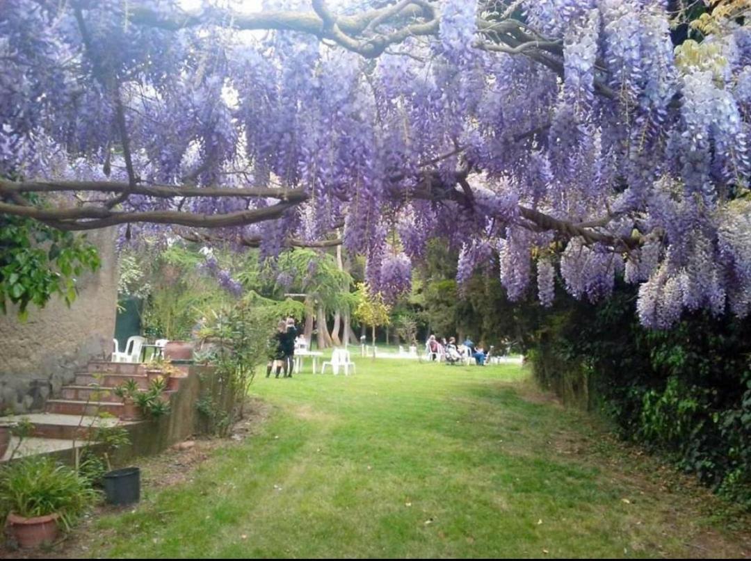 Agriturismo Feudo Tudia Landro المظهر الخارجي الصورة