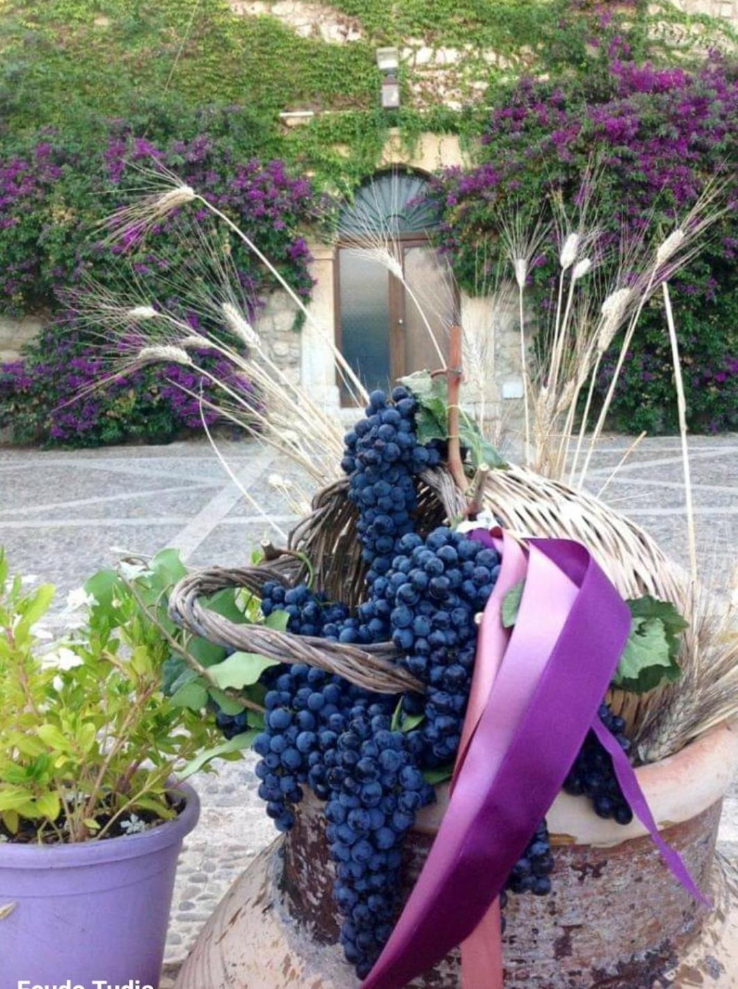 Agriturismo Feudo Tudia Landro المظهر الخارجي الصورة